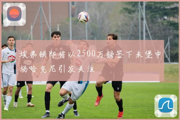 埃弗顿即将以2500万镑签下米堡中场哈克尼引发关注