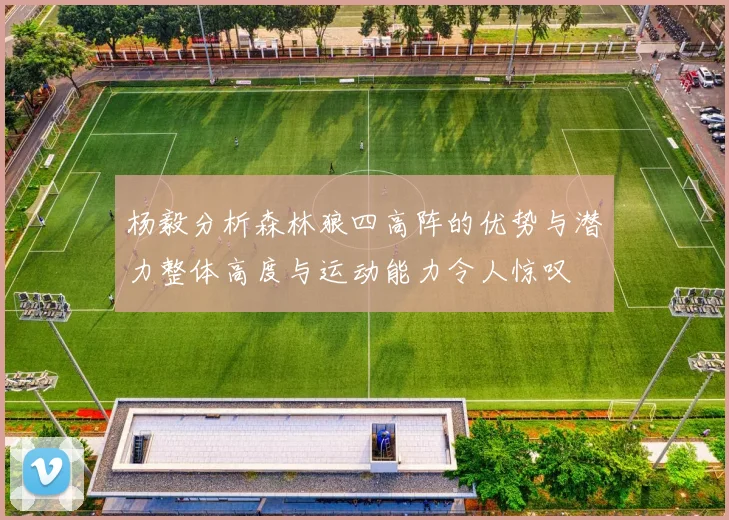 杨毅分析森林狼四高阵的优势与潜力整体高度与运动能力令人惊叹