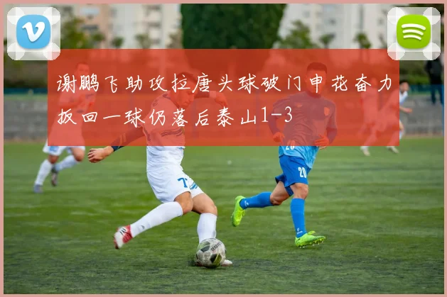 谢鹏飞助攻拉唐头球破门申花奋力扳回一球仍落后泰山1-3
