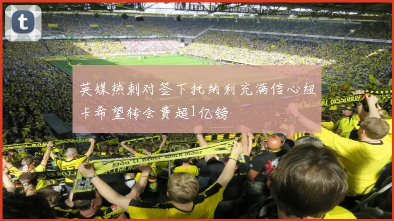 英媒热刺对签下托纳利充满信心纽卡希望转会费超1亿镑